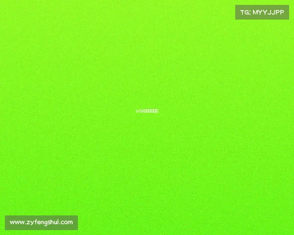 wta积分规则最新