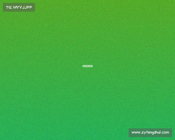 网球全国锦标赛