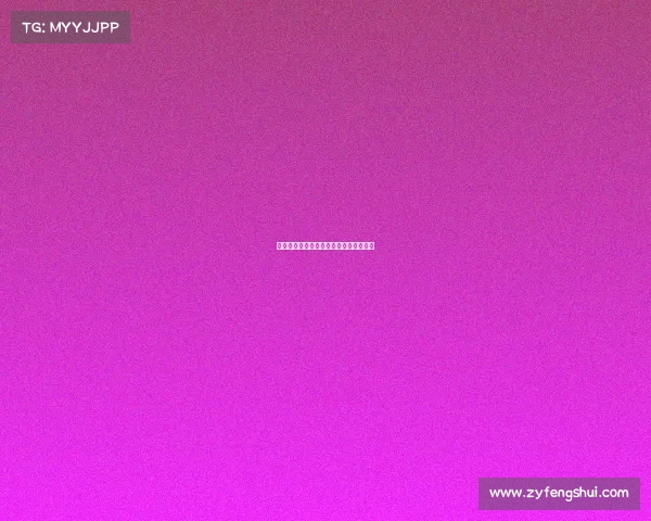 水上极限运动赛事世界水上极速运动大赛