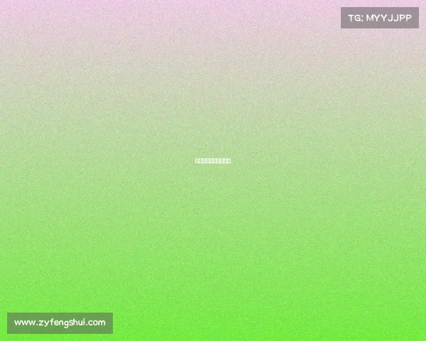 排超联赛直播赛事官网